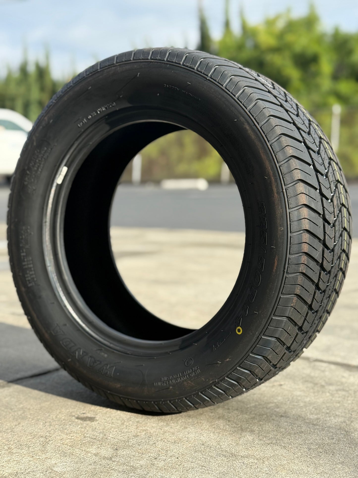Golf Cart Tire Wanda Brand