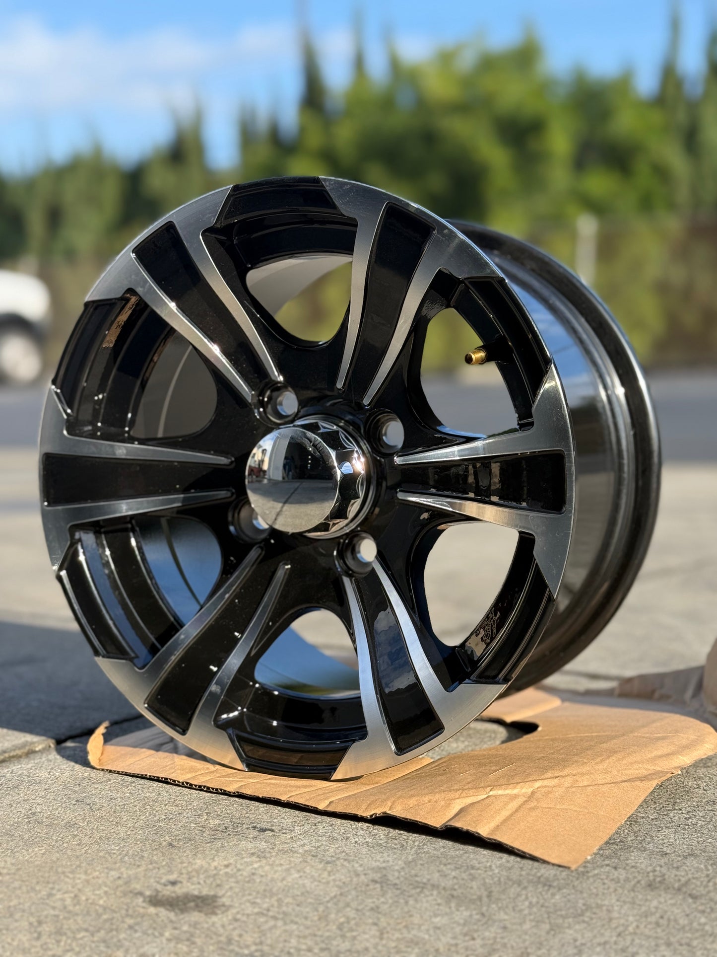 Golf Cart Wheels 12"